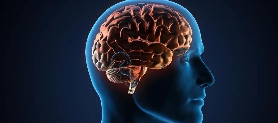 Beynin gizli mesajları: Yuxuların arxasında nə dayanır
