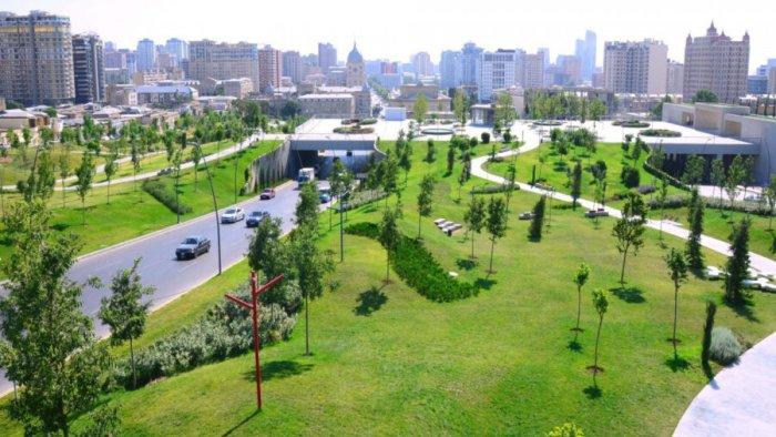 Hava ilə bağlı vacib ptoqnoz
