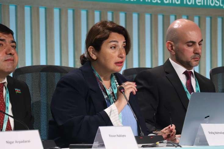 Şəfəq Mehrəliyeva: Dayanıqlı şəhərlər üçün etimad və ictimai iştirak əsasdır