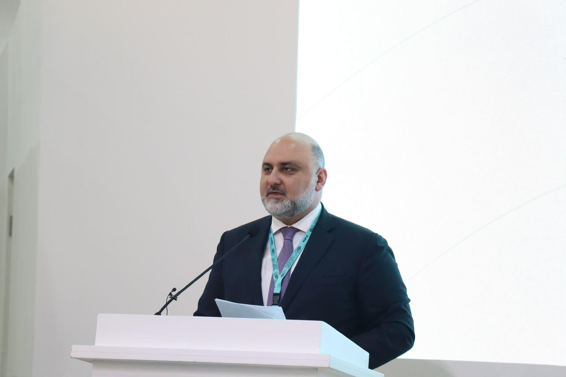 WUF13-də Bakının 2040 inkişaf strategiyası müzakirə olunub