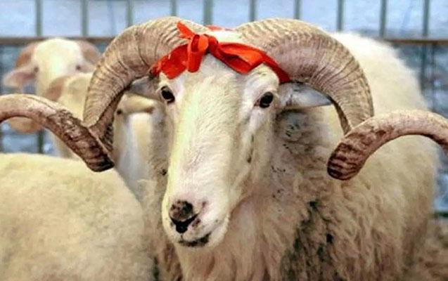 Qurban bayramına görə bu işçilərə əlavə pul veriləcək?