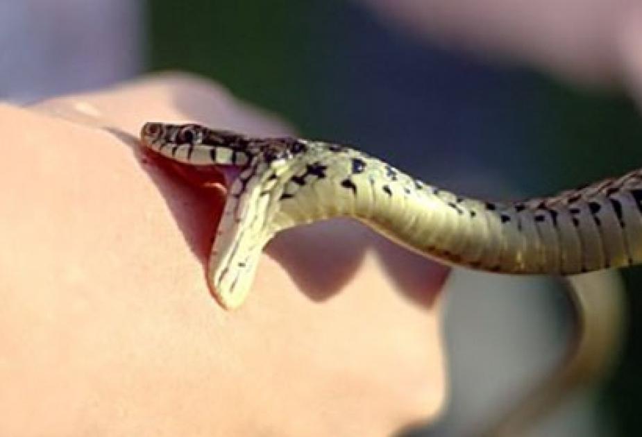 Göyçayda 54 yaşlı kişini ilan sancdı