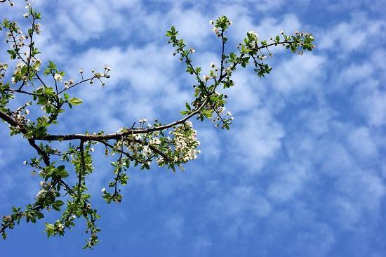 İyunun ilk günü hava necə olacaq?