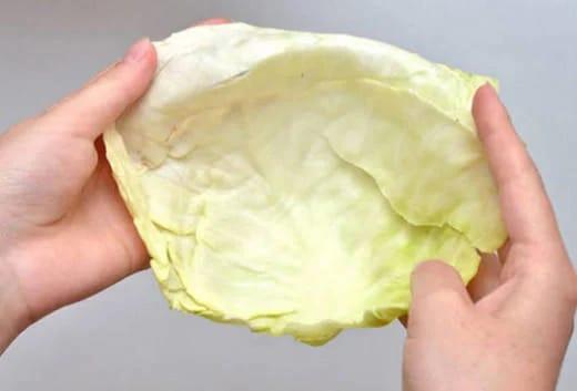 Kələmin əsas təhlükəsi açıqlandı