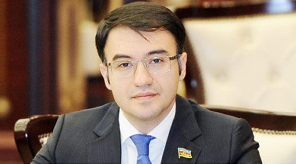 20 ballıq cərimə limiti 30 bala qaldırılsın - Milli Məclisdə TƏKLİF