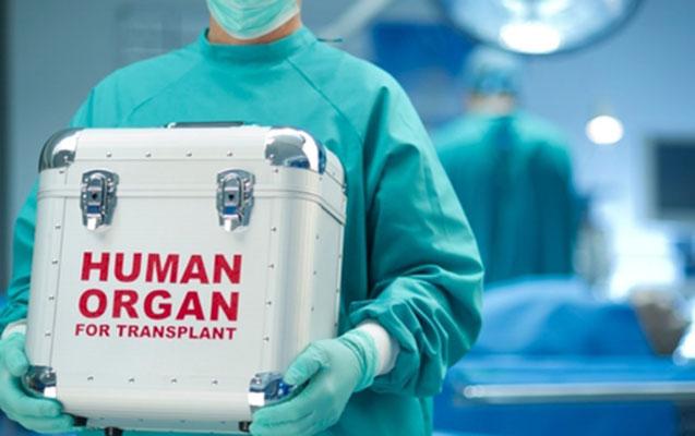 Baş nazirdən sümük iliyi transplantasiyası ilə bağlı- QƏRAR