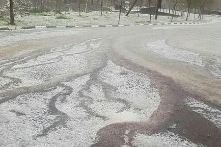 Dolu Daşkəsəndə fəsadlar törətdi