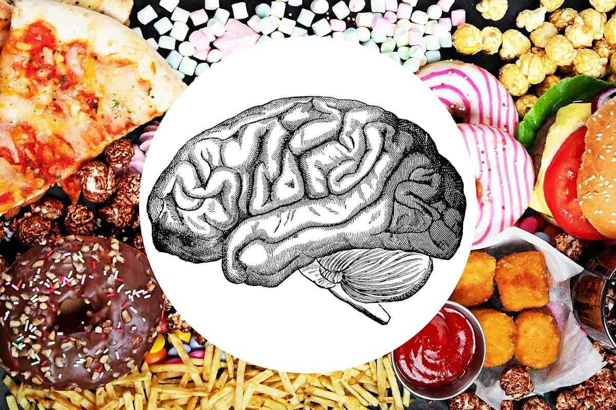 Beyinə ən çox zərər verən ZƏRƏRLİ QİDALAR AÇIQLANDI