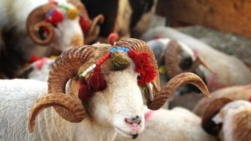 Qurban bayramının yaranma tarixi: Minilliklərdən bu günə uzanan müqəddəs ənənə