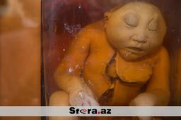 Thumbnail 27