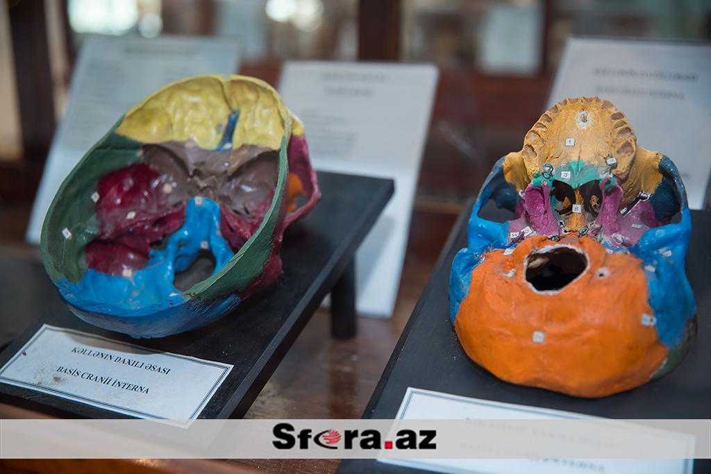 Gallery image 13