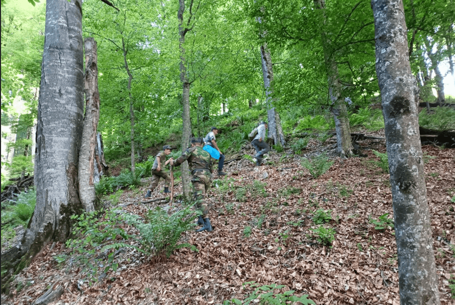 Gallery image 2
