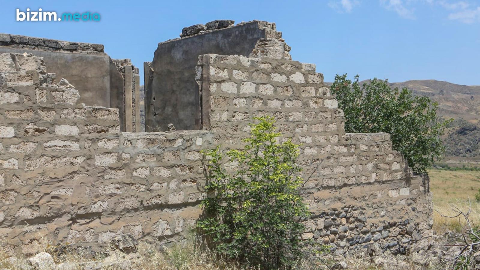 Gallery image 8