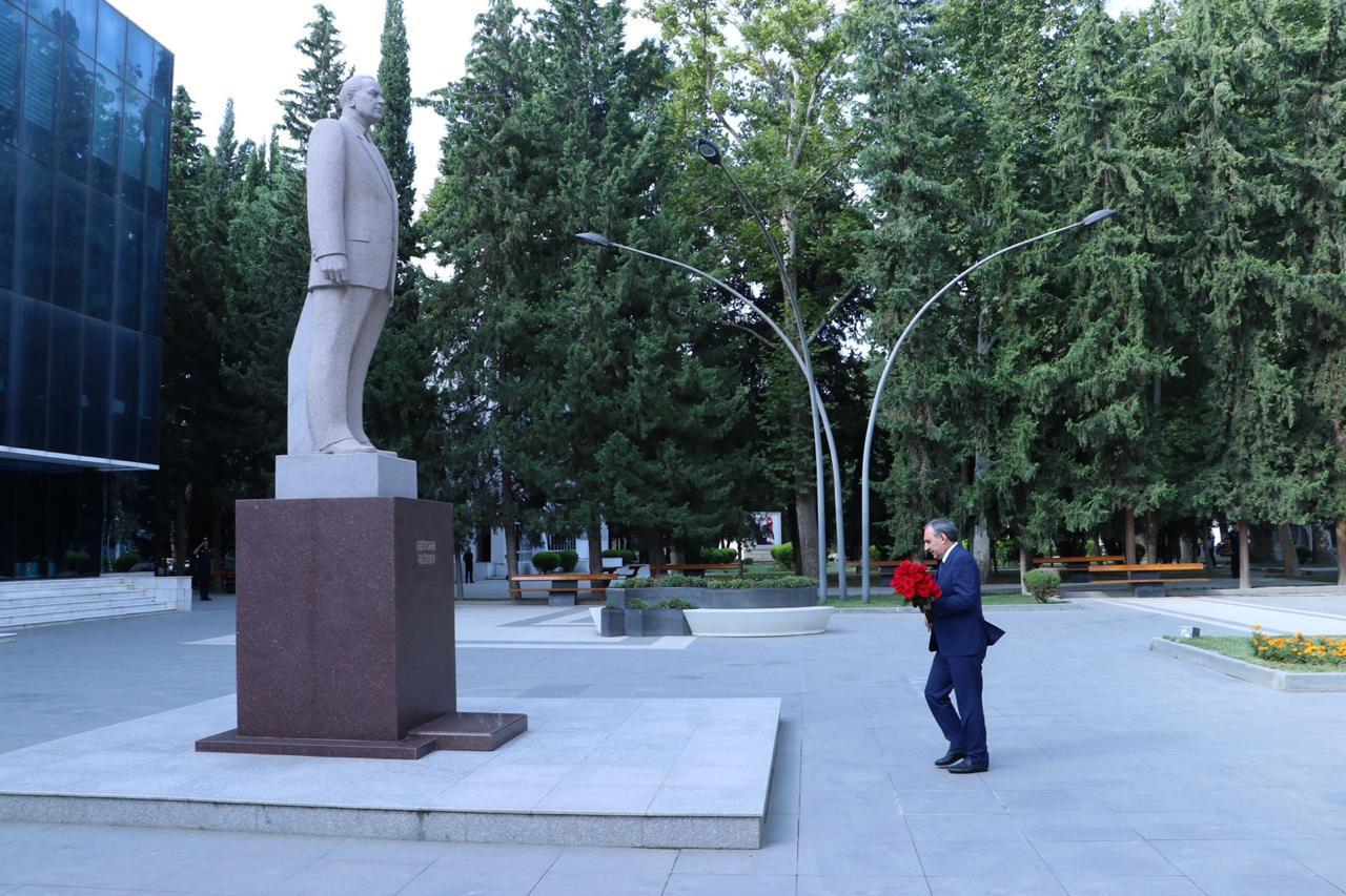 Gallery image 6