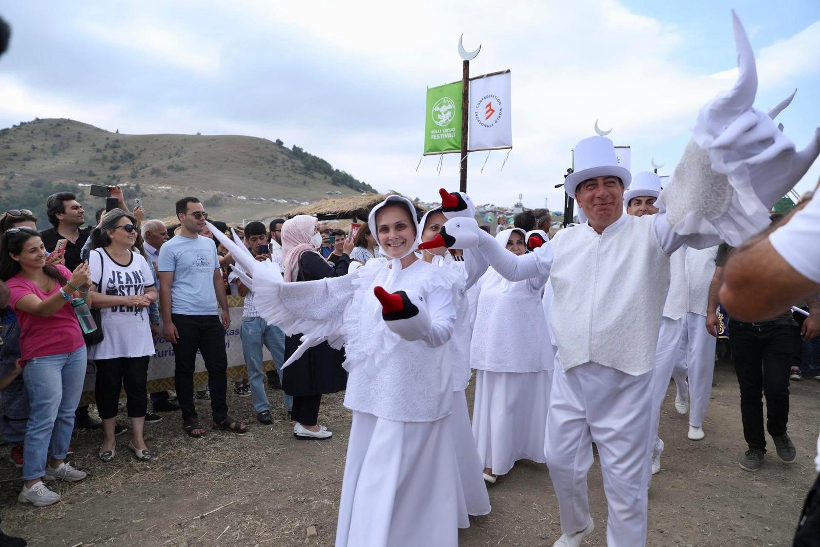 Gallery image 13