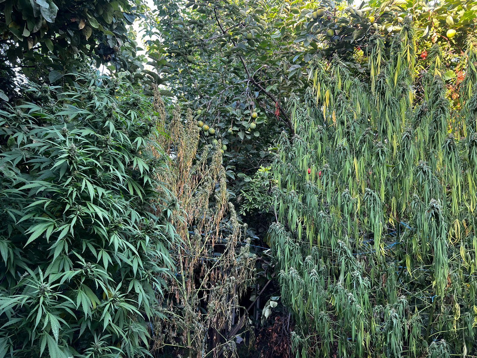Gallery image 1