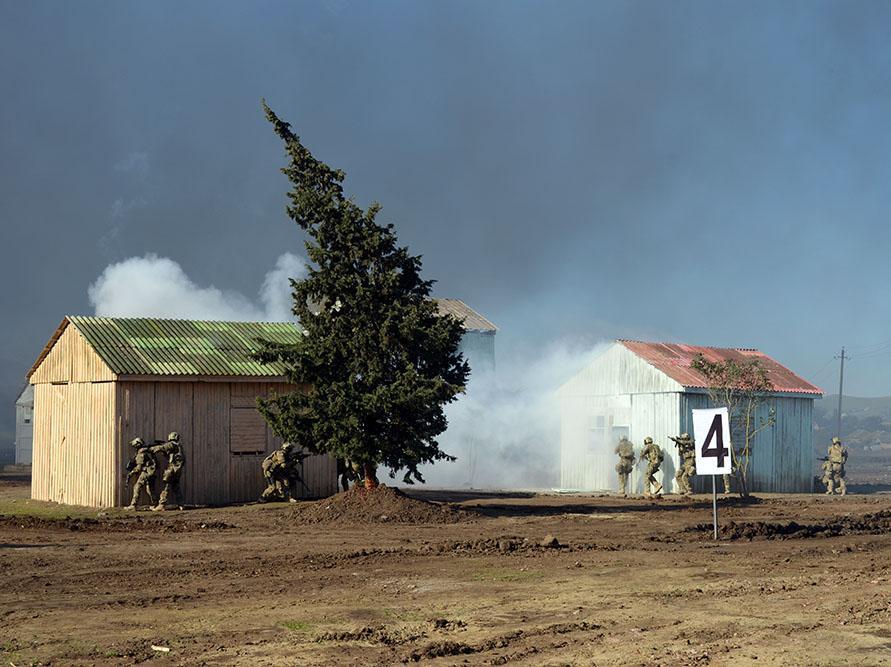 Gallery image 7