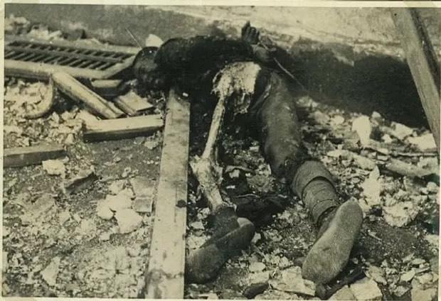 Gallery image 8