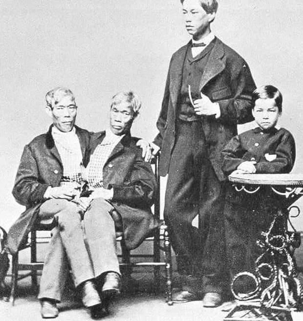 Gallery image 1