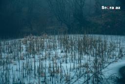 Thumbnail 22