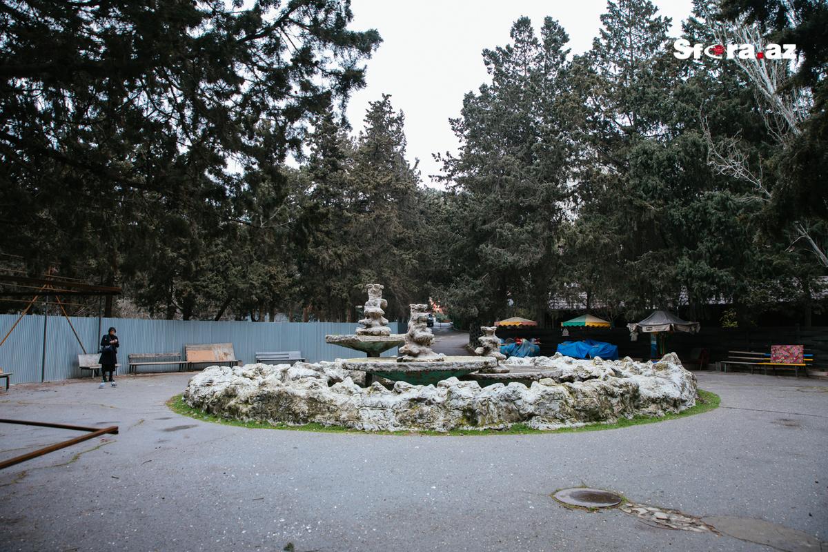 Gallery image 24