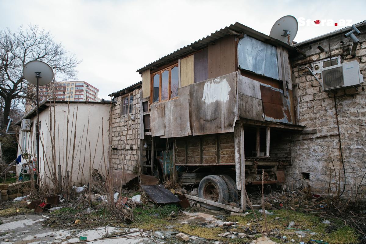 Gallery image 51