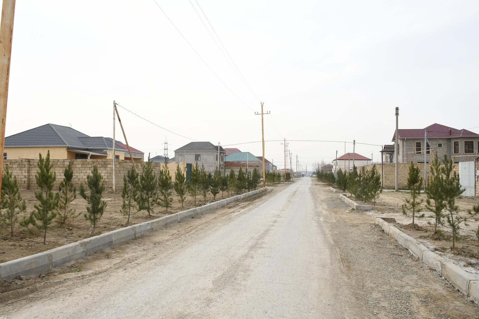 Gallery image 11