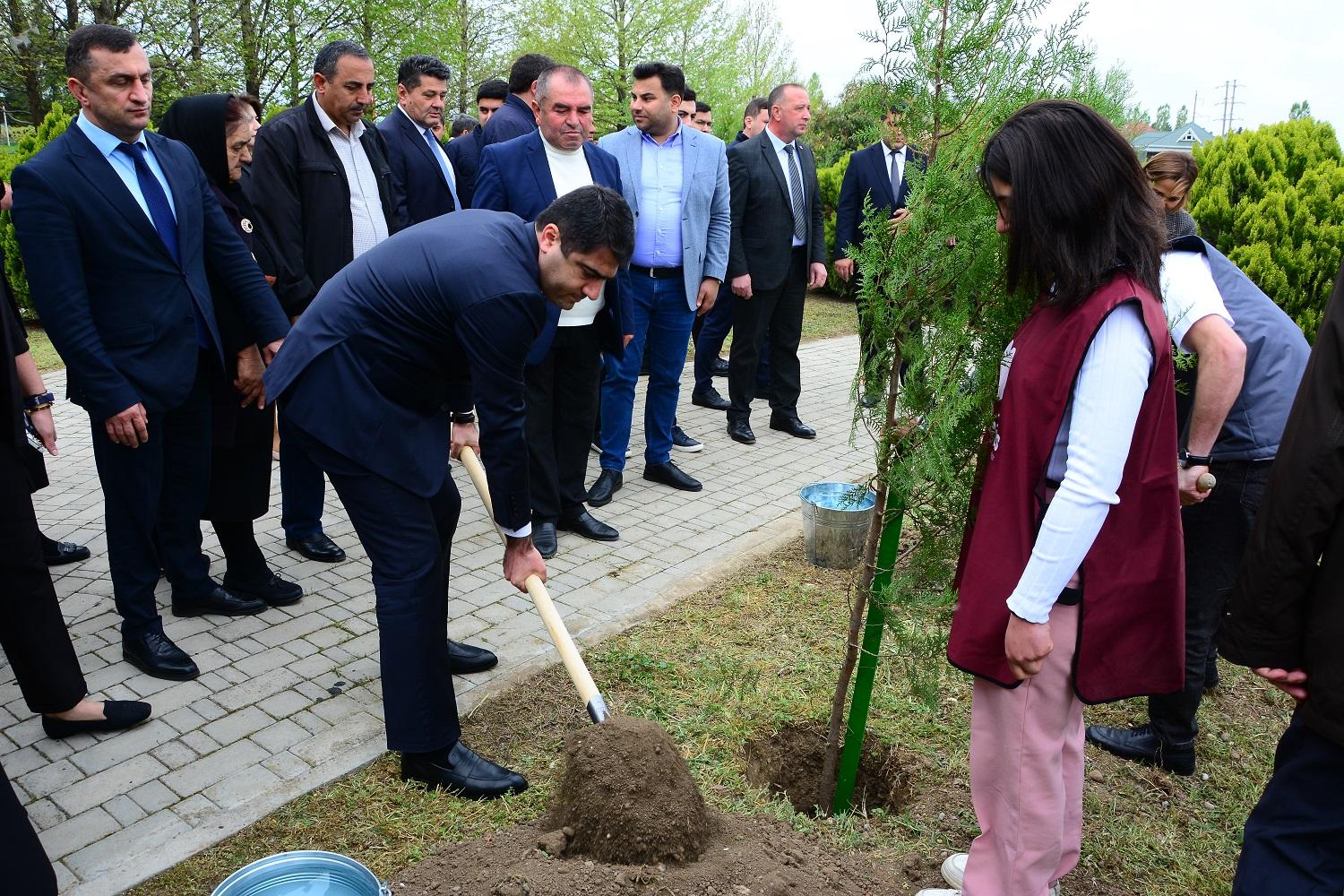 Gallery image 4