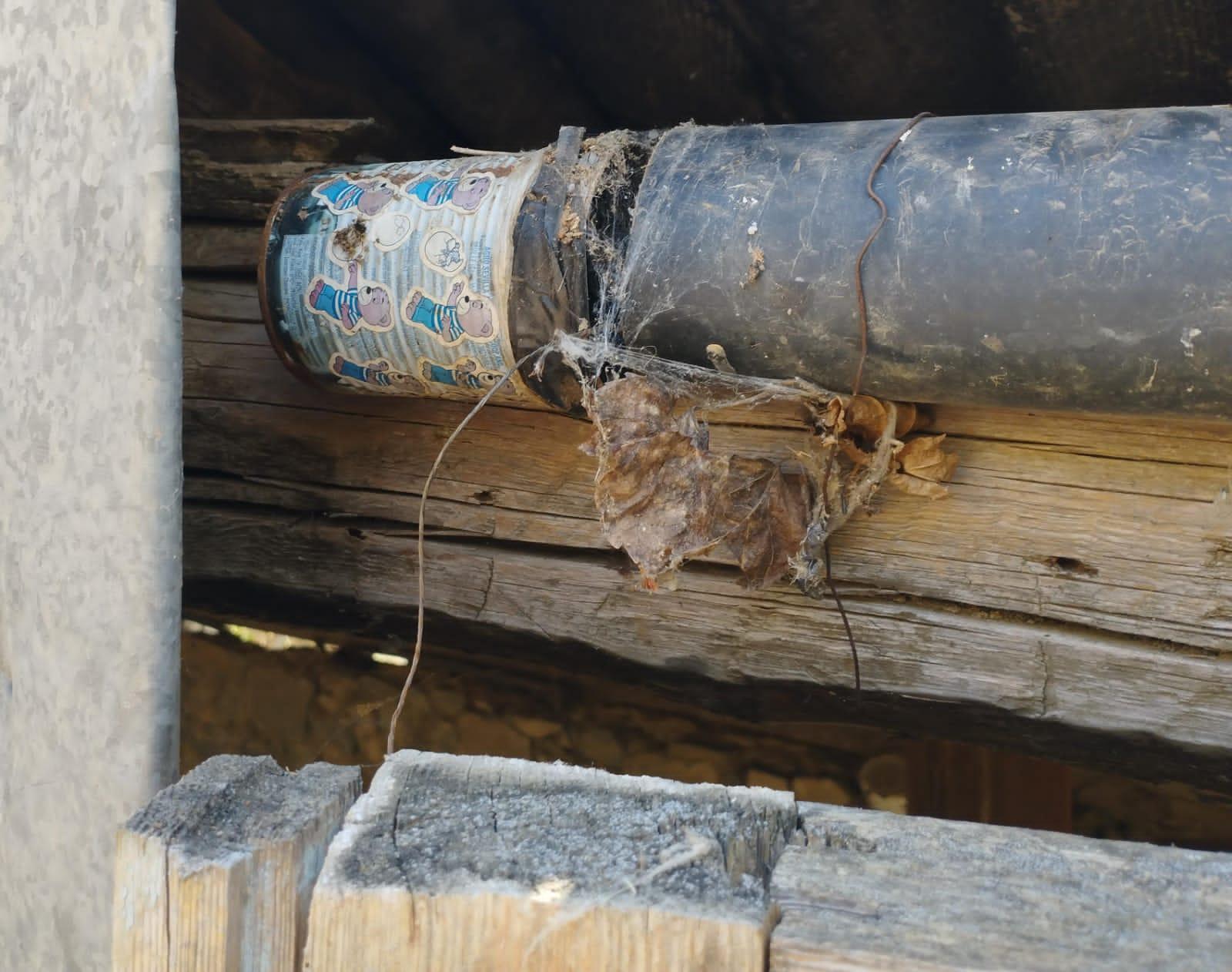Gallery image 6