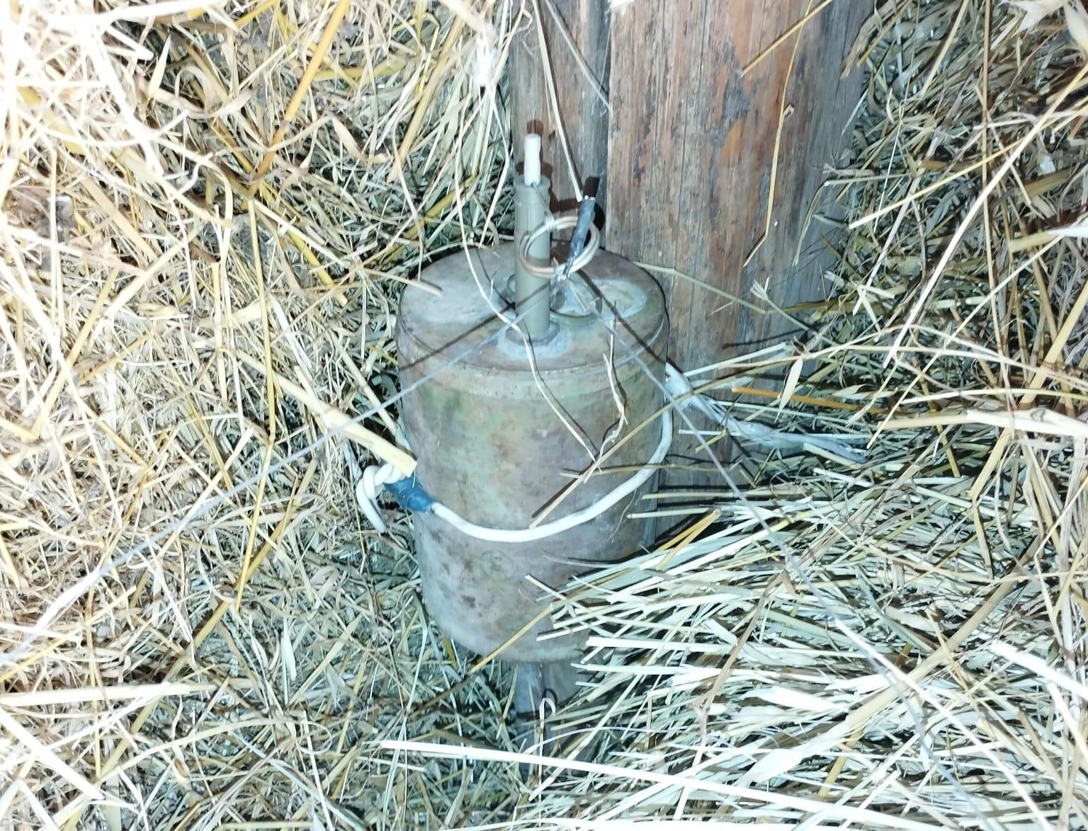 Gallery image 2