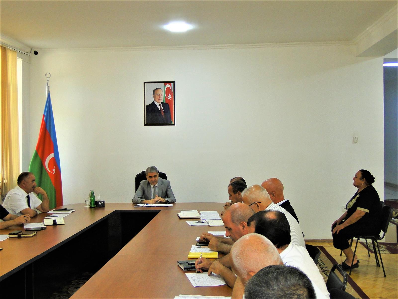 Gallery image 6