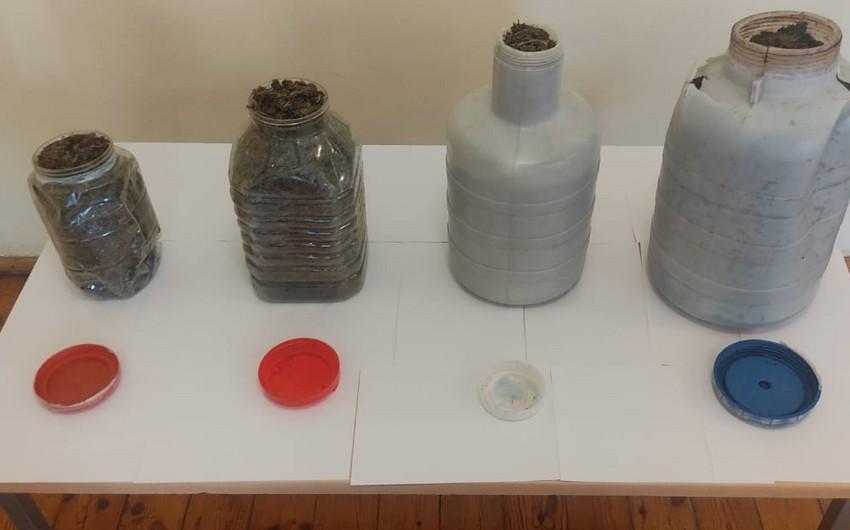 Gallery image 8