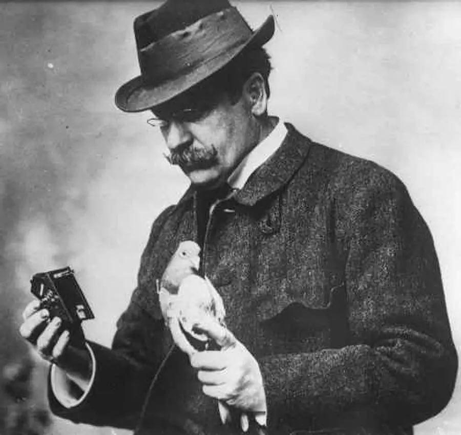 Gallery image 1