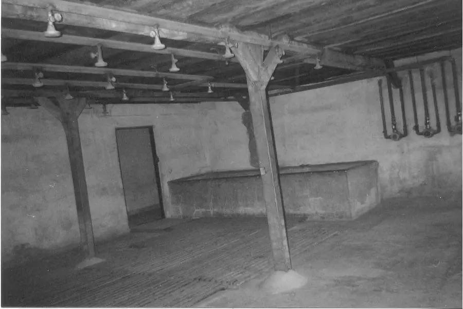 Gallery image 3