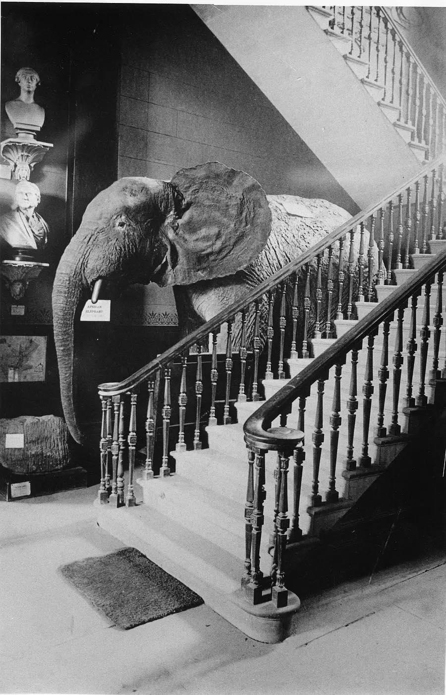 Gallery image 5