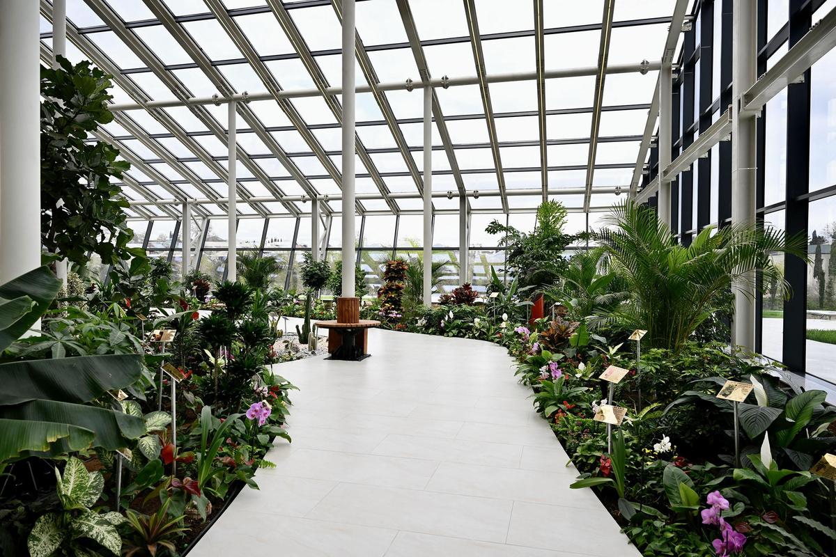 Gallery image 4