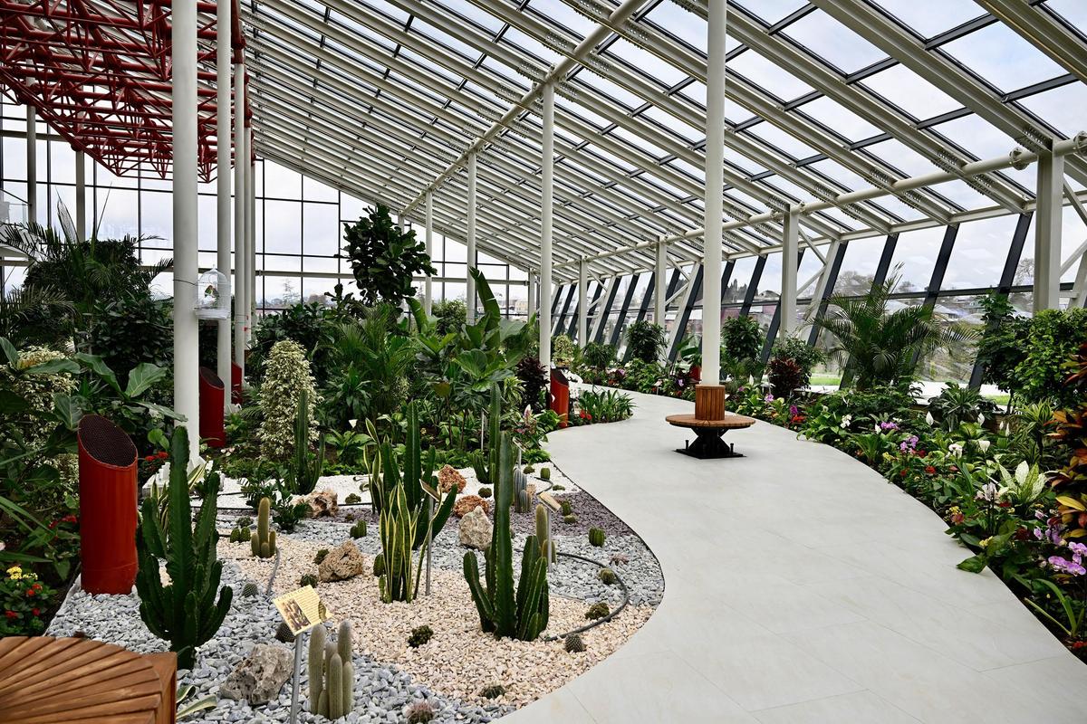 Gallery image 8