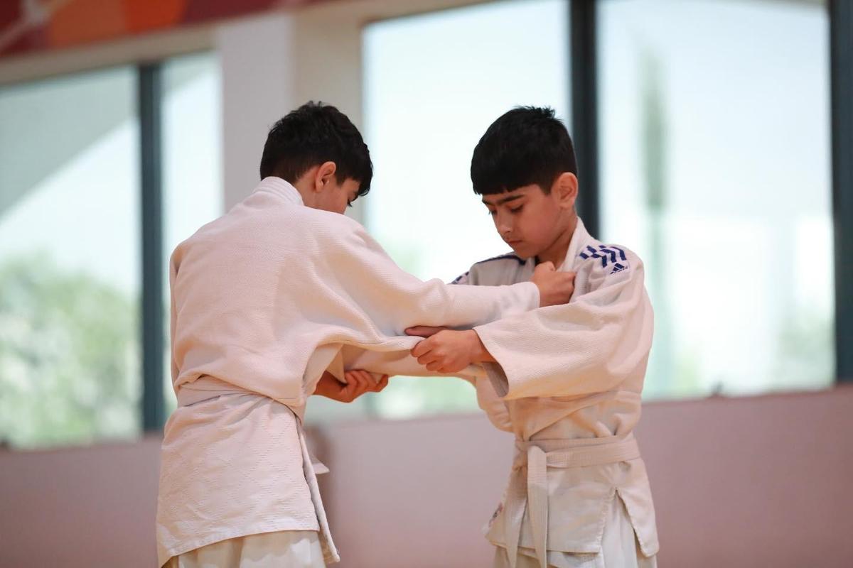 Gallery image 5