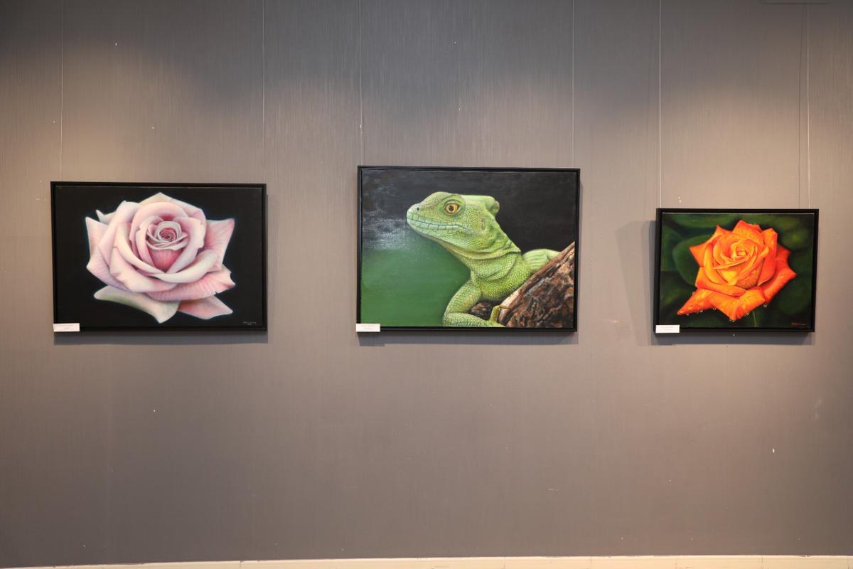 Gallery image 13