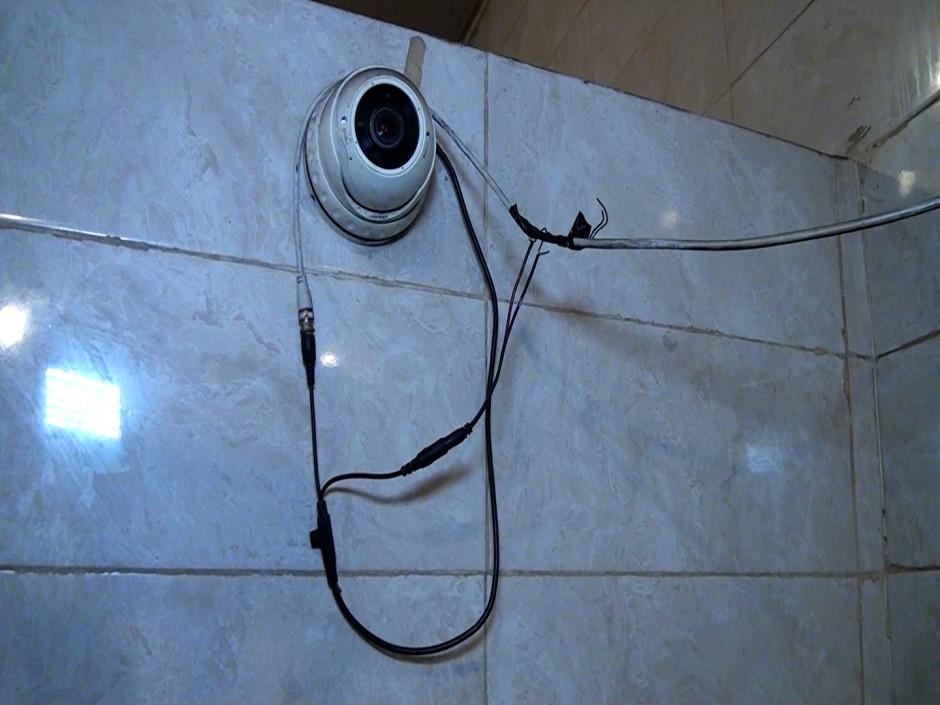 Gallery image 5
