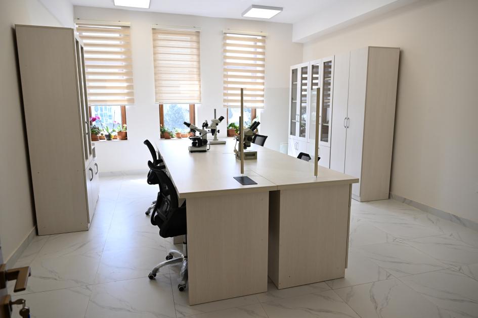 Gallery image 13