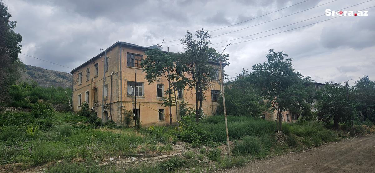 Gallery image 24