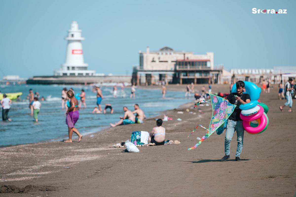 Gallery image 7