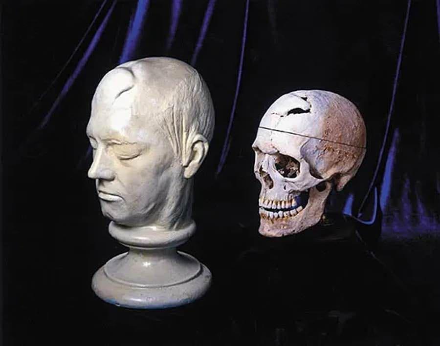 Gallery image 6
