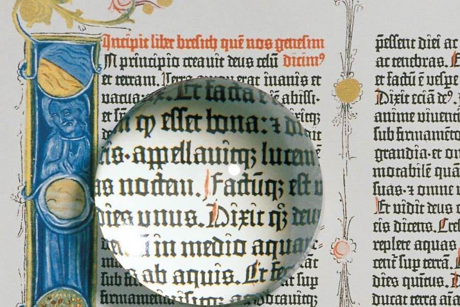 Gallery image 5