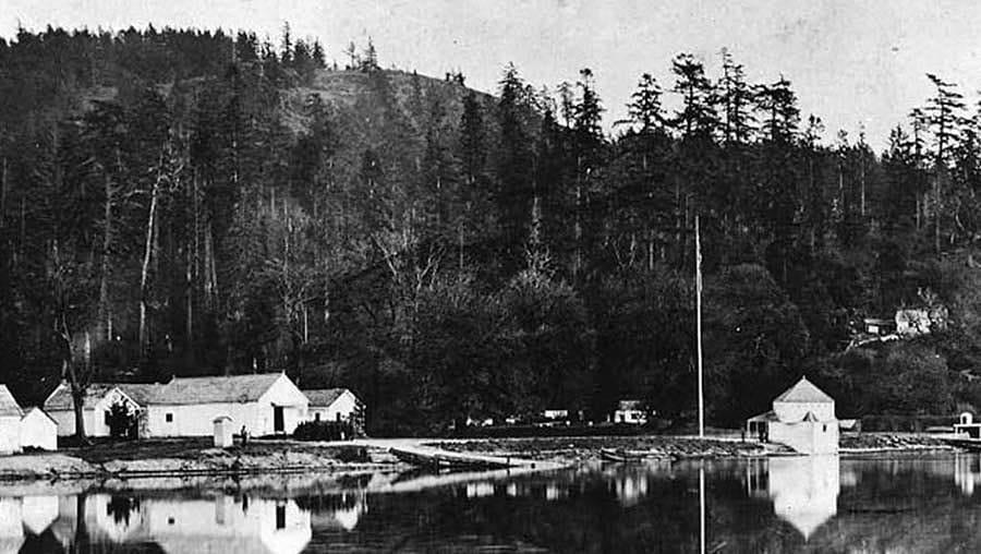 Gallery image 1