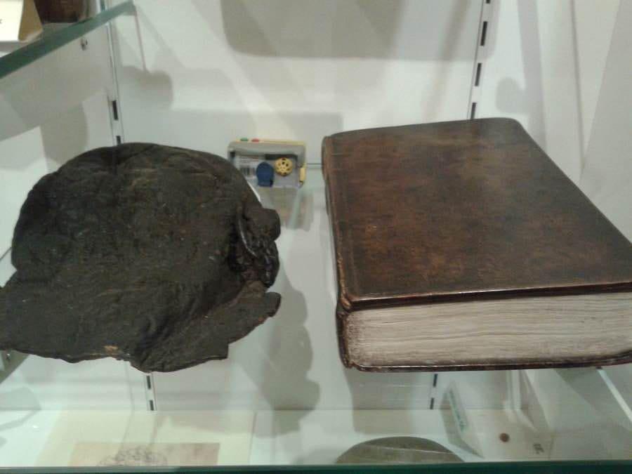 Gallery image 1