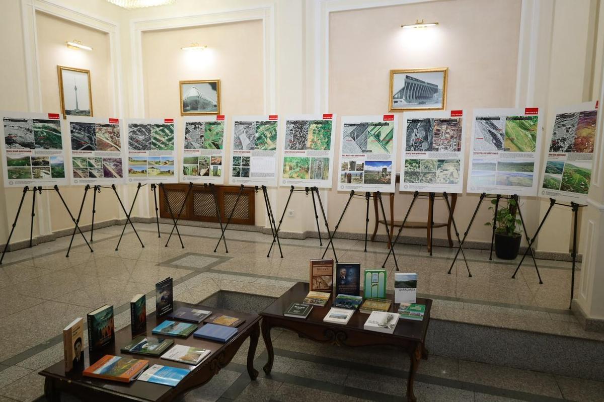 Gallery image 19