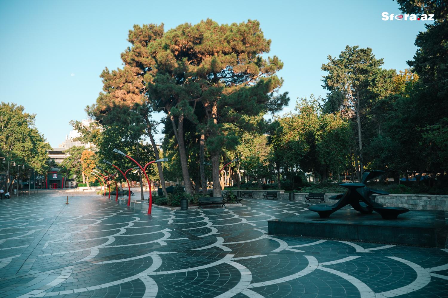 Gallery image 21
