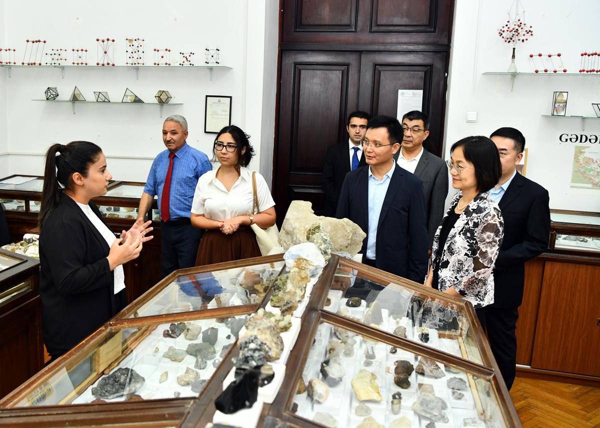 Gallery image 6